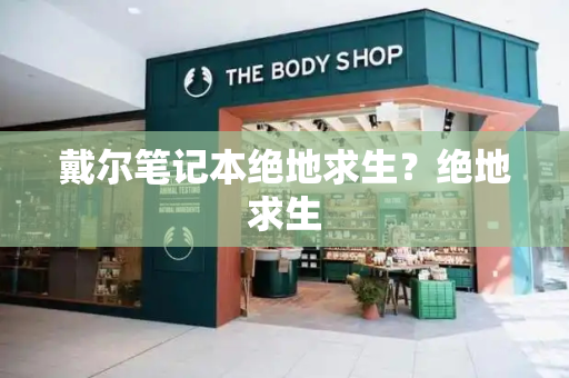 戴尔笔记本绝地求生？绝地求生