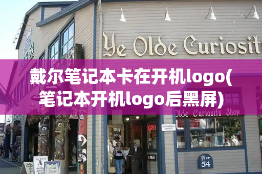 戴尔笔记本卡在开机logo(笔记本开机logo后黑屏)-第1张图片-星选测评