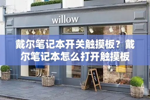 戴尔笔记本开关触摸板？戴尔笔记本怎么打开触摸板