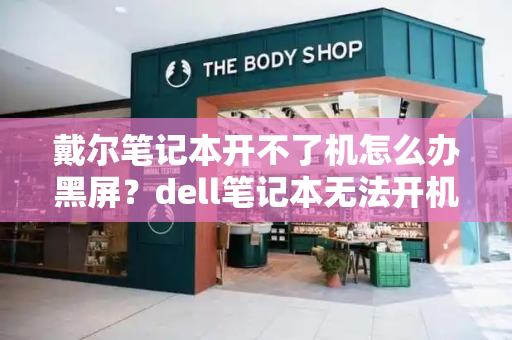 戴尔笔记本开不了机怎么办黑屏？dell笔记本无法开机-第1张图片-星选测评