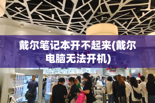 戴尔笔记本开不起来(戴尔电脑无法开机)-第1张图片-星选测评