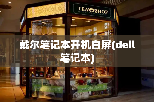 戴尔笔记本开机白屏(dell笔记本)-第1张图片-星选测评