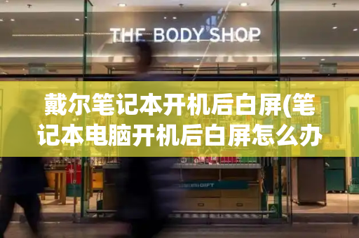 戴尔笔记本开机后白屏(笔记本电脑开机后白屏怎么办)-第1张图片-星选测评