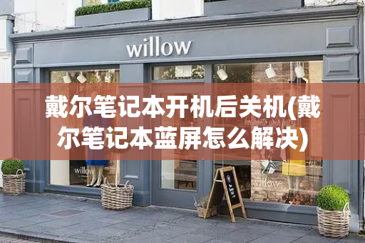 戴尔笔记本开机后关机(戴尔笔记本蓝屏怎么解决)-第1张图片-星选测评