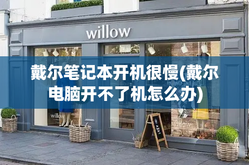 戴尔笔记本开机很慢(戴尔电脑开不了机怎么办)