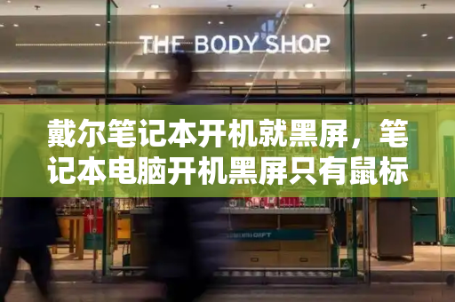 戴尔笔记本开机就黑屏，笔记本电脑开机黑屏只有鼠标箭头-第1张图片-星选测评