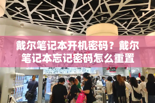 戴尔笔记本开机密码？戴尔笔记本忘记密码怎么重置