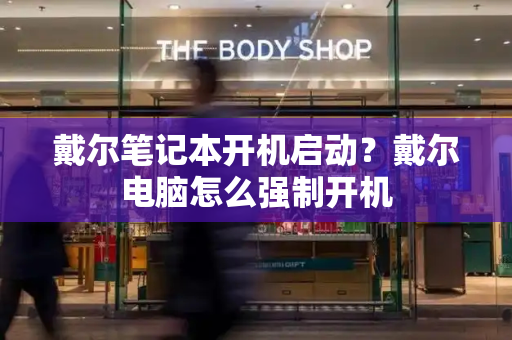 戴尔笔记本开机启动？戴尔电脑怎么强制开机-第1张图片-星选测评