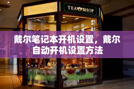 戴尔笔记本开机设置，戴尔自动开机设置方法-第1张图片-星选测评