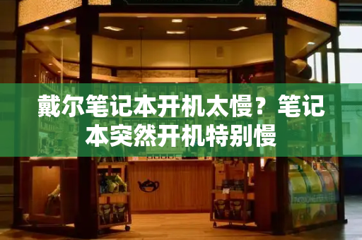 戴尔笔记本开机太慢？笔记本突然开机特别慢-第1张图片-星选测评
