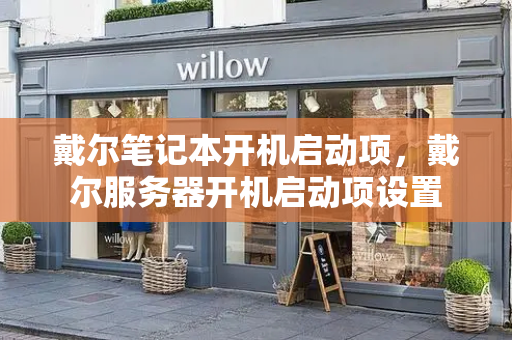 戴尔笔记本开机启动项，戴尔服务器开机启动项设置