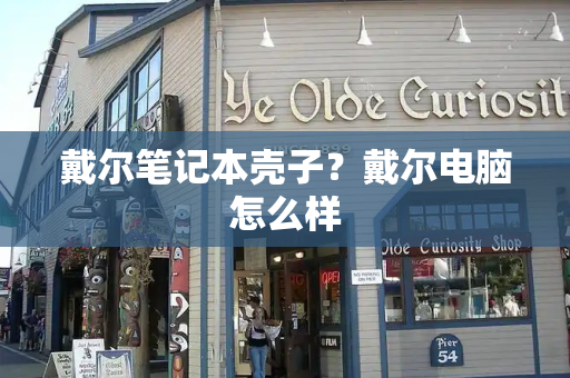 戴尔笔记本壳子？戴尔电脑怎么样