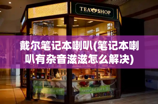 戴尔笔记本喇叭(笔记本喇叭有杂音滋滋怎么解决)-第1张图片-星选测评