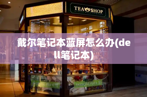 戴尔笔记本蓝屏怎么办(dell笔记本)