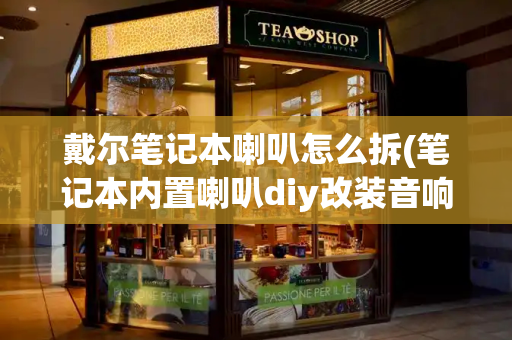 戴尔笔记本喇叭怎么拆(笔记本内置喇叭diy改装音响)