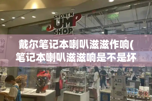 戴尔笔记本喇叭滋滋作响(笔记本喇叭滋滋响是不是坏了)-第1张图片-星选测评
