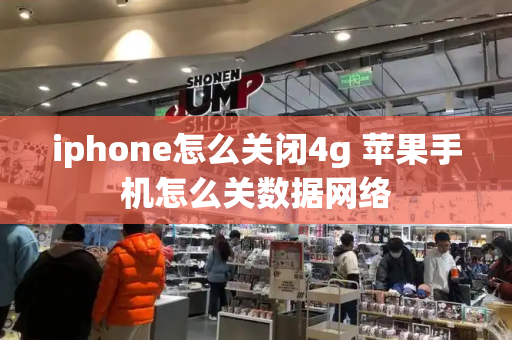 iphone怎么关闭4g 苹果手机怎么关数据网络