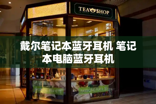 戴尔笔记本蓝牙耳机 笔记本电脑蓝牙耳机