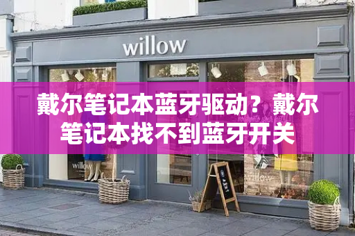 戴尔笔记本蓝牙驱动？戴尔笔记本找不到蓝牙开关-第1张图片-星选测评