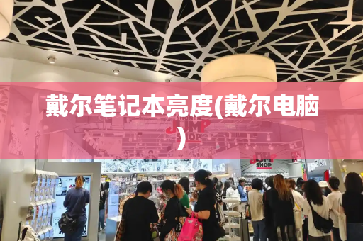 戴尔笔记本亮度(戴尔电脑)-第1张图片-星选测评