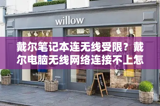 戴尔笔记本连无线受限？戴尔电脑无线网络连接不上怎么办-第1张图片-星选测评