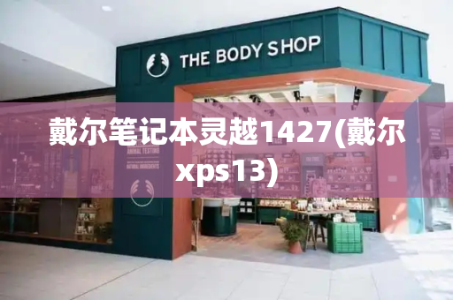 戴尔笔记本灵越1427(戴尔xps13)-第1张图片-星选测评