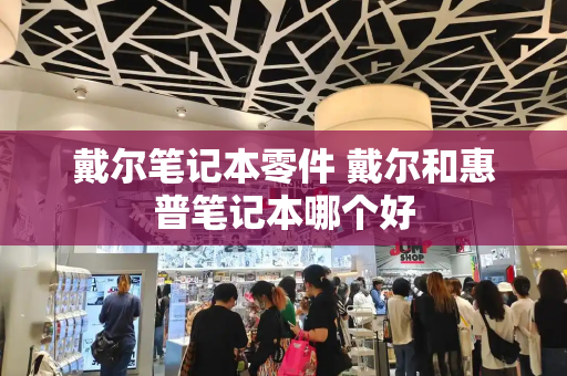 戴尔笔记本零件 戴尔和惠普笔记本哪个好-第1张图片-星选测评