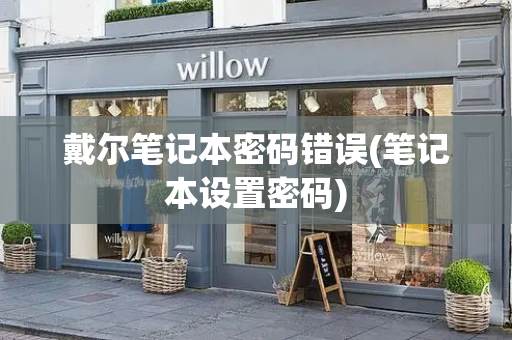 戴尔笔记本密码错误(笔记本设置密码)
