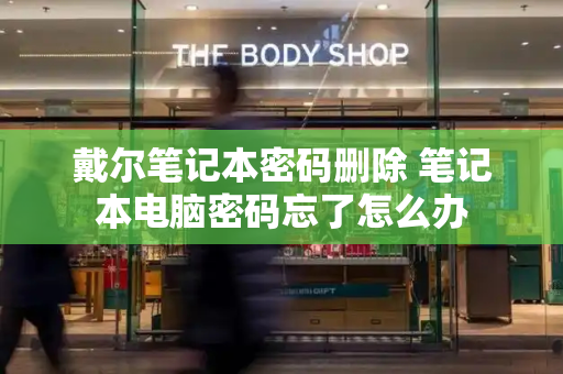 戴尔笔记本密码删除 笔记本电脑密码忘了怎么办-第1张图片-星选测评