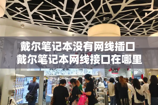 戴尔笔记本没有网线插口 戴尔笔记本网线接口在哪里-第1张图片-星选测评