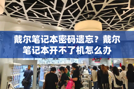 戴尔笔记本密码遗忘？戴尔笔记本开不了机怎么办-第1张图片-星选测评