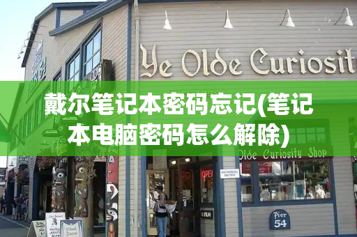 戴尔笔记本密码忘记(笔记本电脑密码怎么解除)