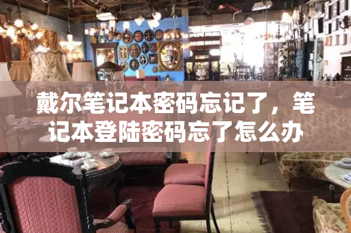 戴尔笔记本密码忘记了，笔记本登陆密码忘了怎么办-第1张图片-星选测评