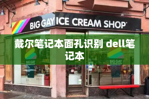 戴尔笔记本面孔识别 dell笔记本-第1张图片-星选测评