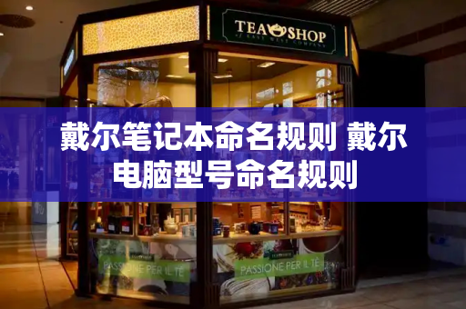 戴尔笔记本命名规则 戴尔电脑型号命名规则-第1张图片-星选测评