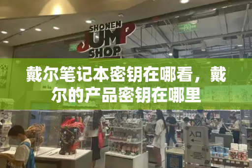 戴尔笔记本密钥在哪看，戴尔的产品密钥在哪里-第1张图片-星选测评