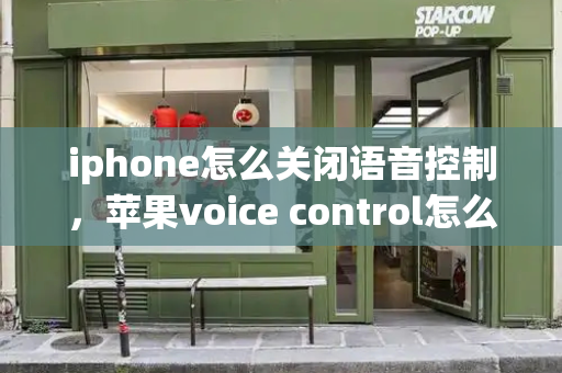 iphone怎么关闭语音控制，苹果voice control怎么关闭