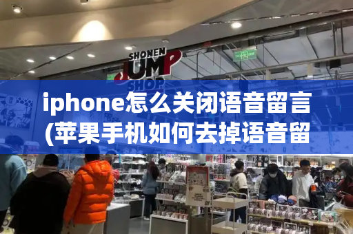 iphone怎么关闭语音留言(苹果手机如何去掉语音留言)