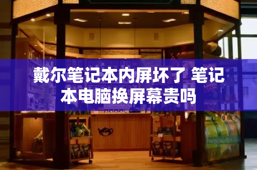 戴尔笔记本内屏坏了 笔记本电脑换屏幕贵吗-第1张图片-星选测评