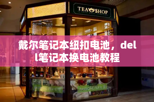 戴尔笔记本纽扣电池，dell笔记本换电池教程