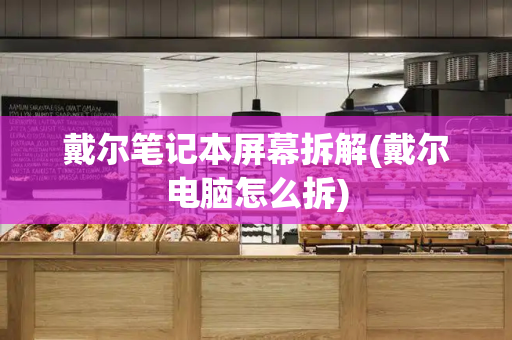 戴尔笔记本屏幕拆解(戴尔电脑怎么拆)-第1张图片-星选测评