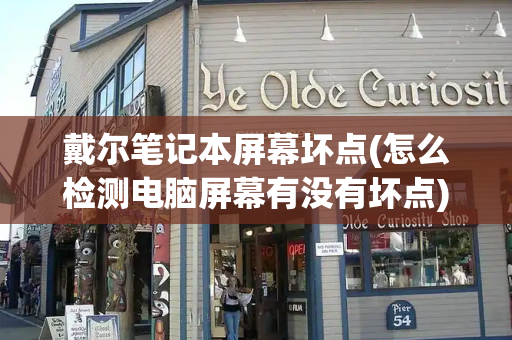 戴尔笔记本屏幕坏点(怎么检测电脑屏幕有没有坏点)
