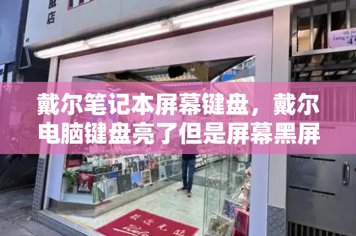 戴尔笔记本屏幕键盘，戴尔电脑键盘亮了但是屏幕黑屏-第1张图片-星选测评