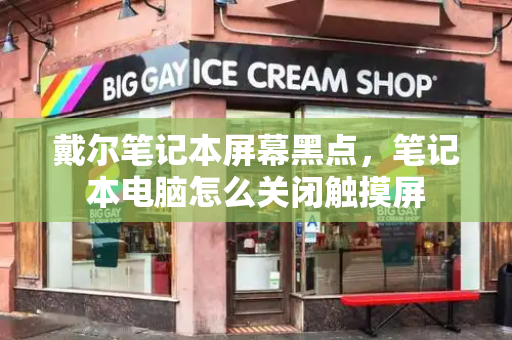 戴尔笔记本屏幕黑点，笔记本电脑怎么关闭触摸屏-第1张图片-星选测评