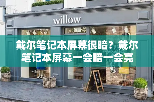 戴尔笔记本屏幕很暗？戴尔笔记本屏幕一会暗一会亮-第1张图片-星选测评