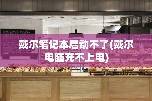 戴尔笔记本启动不了(戴尔电脑充不上电)