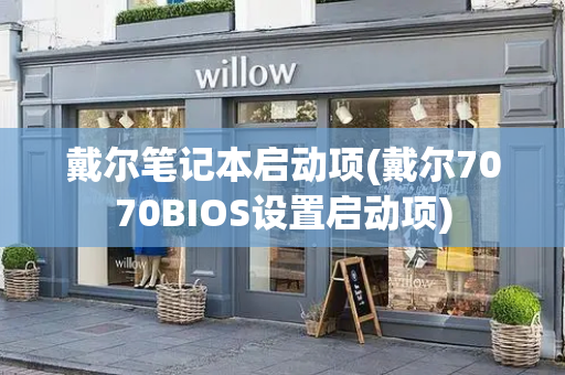 戴尔笔记本启动项(戴尔7070BIOS设置启动项)
