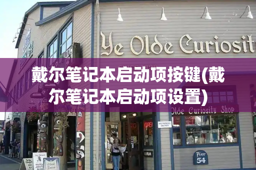 戴尔笔记本启动项按键(戴尔笔记本启动项设置)-第1张图片-星选测评