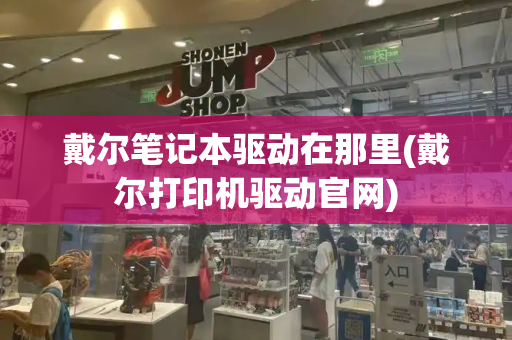 戴尔笔记本驱动在那里(戴尔打印机驱动官网)