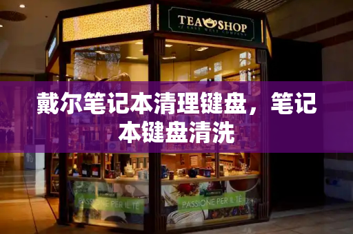 戴尔笔记本清理键盘，笔记本键盘清洗-第1张图片-星选测评